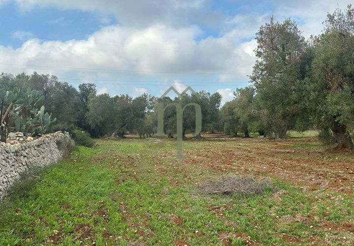 Terra a Carovigno, Brindisi, Carovigno - € 16.000 | Ref: Terreno Arrighi - foto 1
